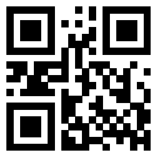 3308041077 - Immagine del QrCode