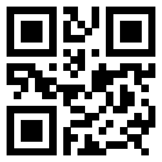 3308084810 - Immagine del Qr Code associato