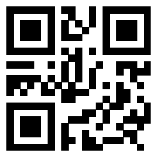 3308084911 - Immagine del QrCode