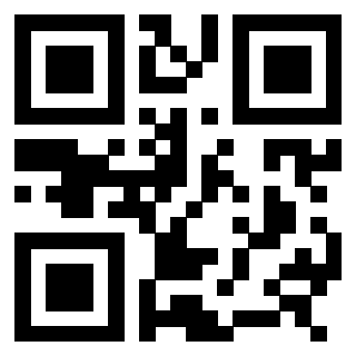 3308084993 - Immagine del QrCode