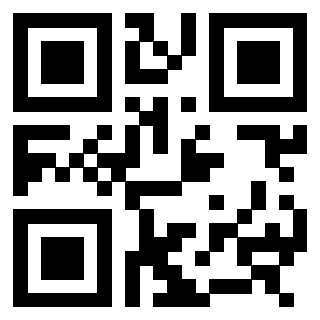 3308106313 QrCode associato