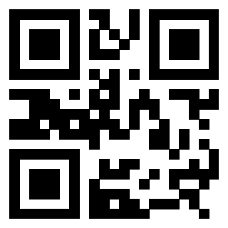 3308165522 - Immagine del QrCode associato