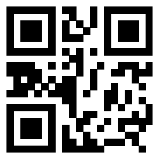 3308165656 - Immagine del Qr Code associato