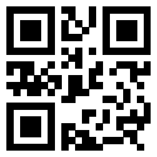 QrCode di 3308166133