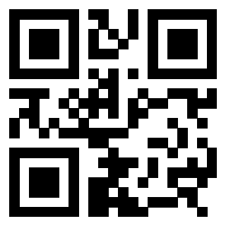 Il Qr Code di 3308166203