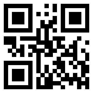 3308166333 - Immagine del QrCode