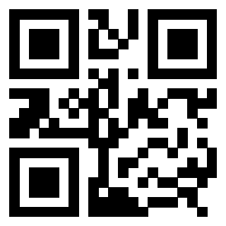 3308269110 QrCode associato