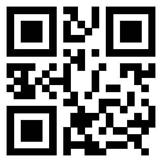 3308269919 - Immagine del Qr Code associato