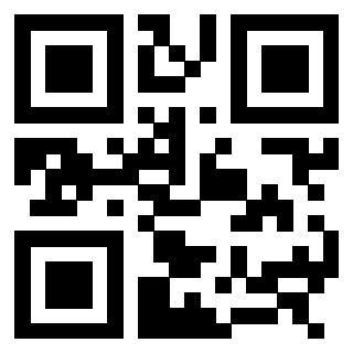 3308393353 - Immagine del QrCode