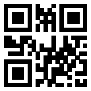 QrCode di 3308393533