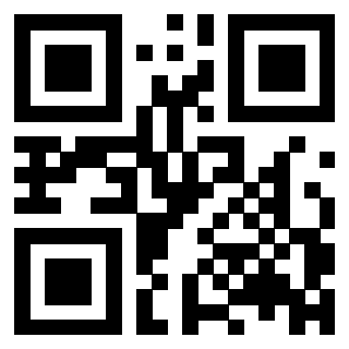 3308400595 - Immagine del QrCode