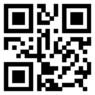 3308401013 QrCode associato