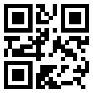 3308432113 - Immagine del QrCode