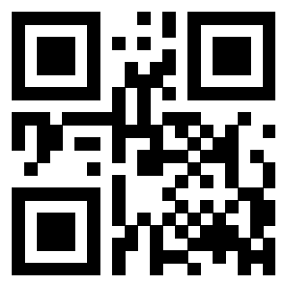 3308433004 - Immagine del Qr Code associato