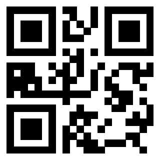 QrCode di 3308483062