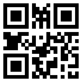 3308483629 - Immagine del QrCode