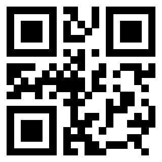 3308487137 Qr Code associato