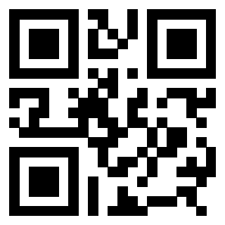 QrCode di 3308487141