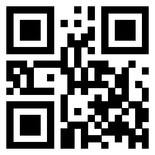 QrCode di 3308487233