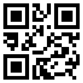 3308487244 - Immagine del QrCode