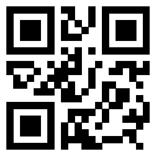 3308487691 - Immagine del Qr Code associato