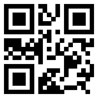 3308488017 - Immagine del QrCode