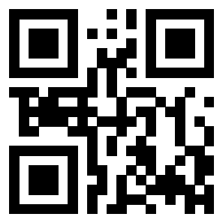 QrCode di 3308494113