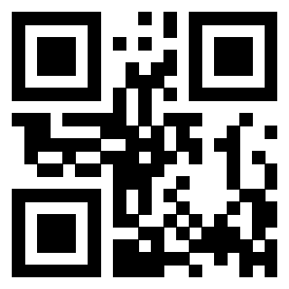QrCode di 3308494384