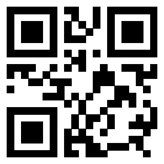 3308494591 - Immagine del Qr Code associato