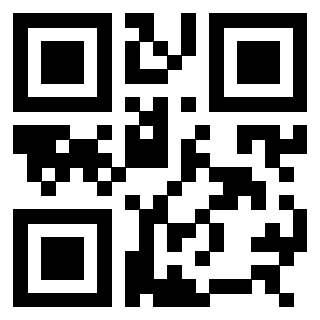 3308494991 - Immagine del QrCode