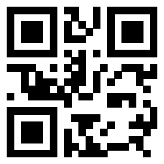 3308495032 - Immagine del Qr Code associato