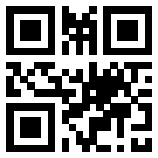 3308504733 - Immagine del QrCode