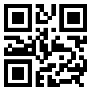 3308505353 - Immagine del QrCode