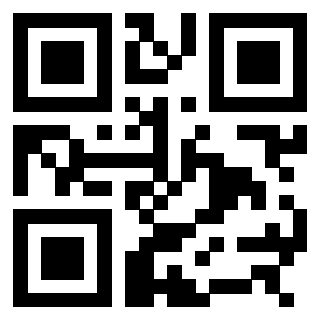 3308594384 - Immagine del QrCode associato