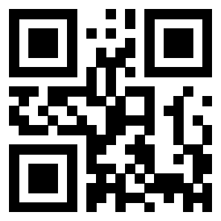 Il Qr Code di 3308594533