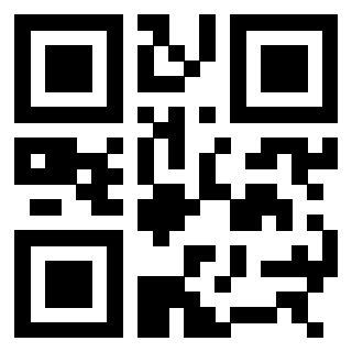 3308594633 - Immagine del Qr Code associato