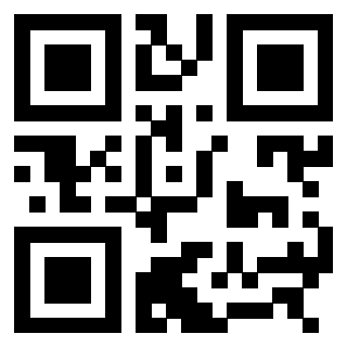 QrCode di 3308795923