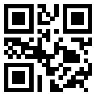 3308845381 QrCode associato