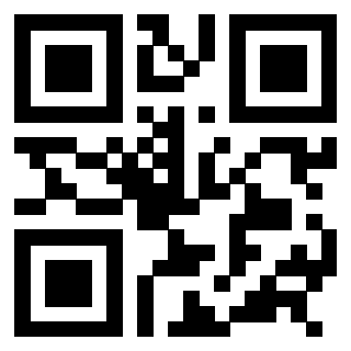 3308847007 Qr Code associato