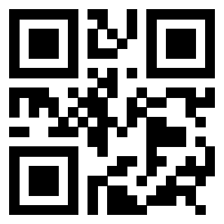 3308847257 Qr Code associato
