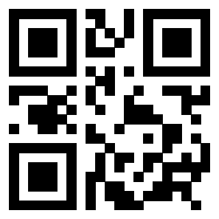 3308912353 - Immagine del QrCode