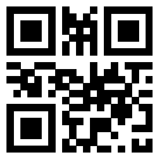 3308912462 - Immagine del QrCode