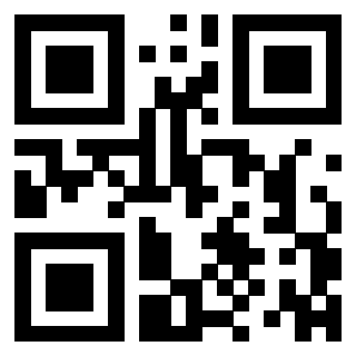 QrCode di 3308947283