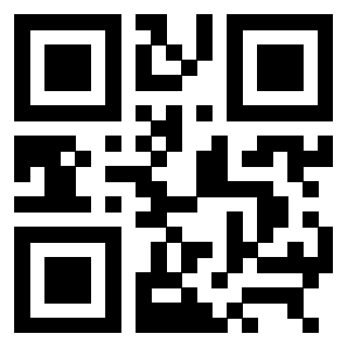 3309010717 - Immagine del QrCode associato