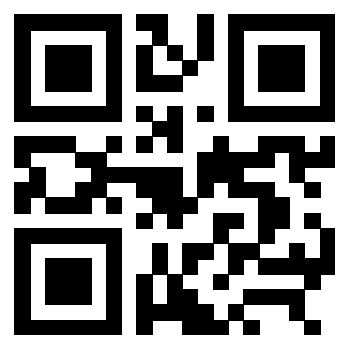 3309010869 - Immagine del QrCode