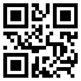 Il Qr Code di 3309010906