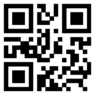 3309010933 - Immagine del QrCode