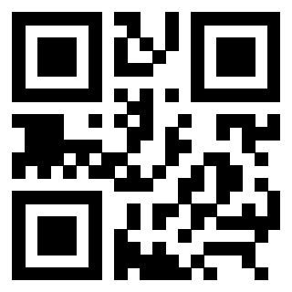 3309010969 QrCode associato