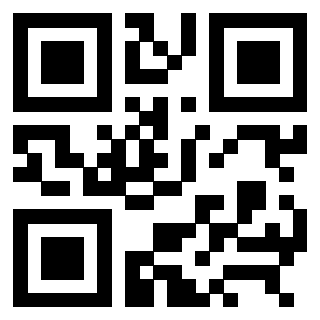 3309011029 - Immagine del QrCode