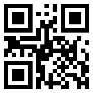 3309011041 - Immagine del Qr Code